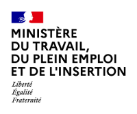 logo Ministère du travail du plein emploi et de l'insertion